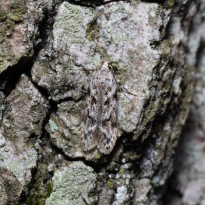 , Lysá hora u Ochozu