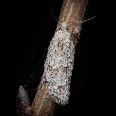 , Pouzdřanský rybník