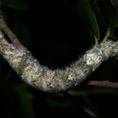 , GR, Sokraki, Korfu