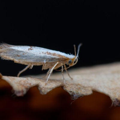 , jeskyně Výpustek