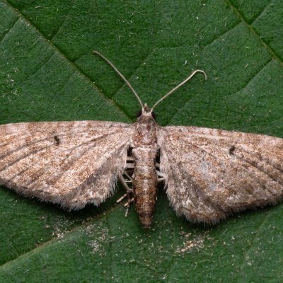 , NPP Jeskyně Pekárna