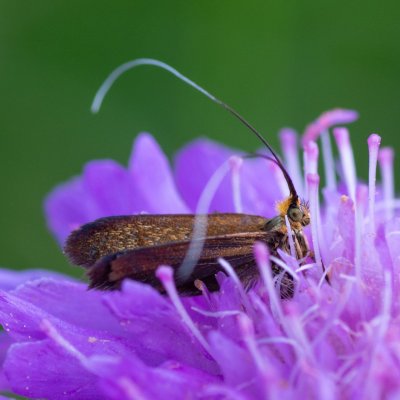 , IT, Cinque Torri, Jižní Tyrolsko