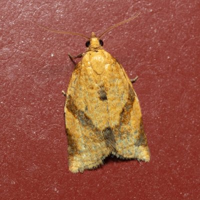 , IT, San Leonardo, Jižní Tyrolsko