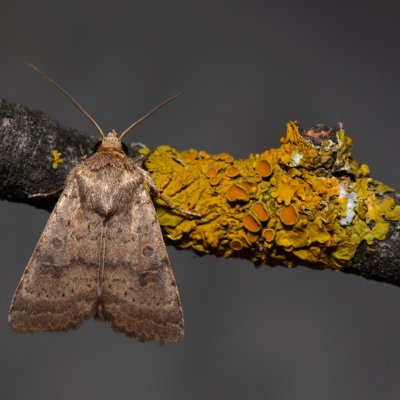 , PP Skalky u Sedlece