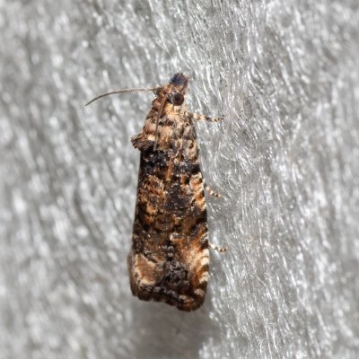 , PP Skalky u Sedlece