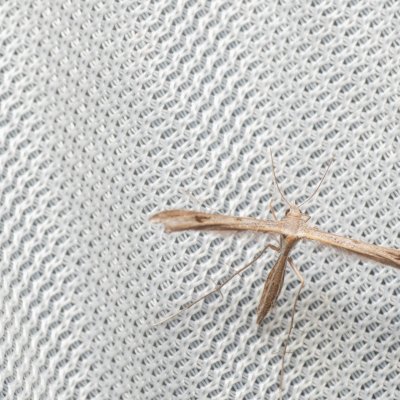 , PP Milovická stráň