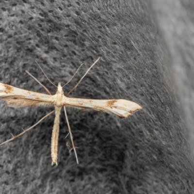 , PP Střelická bažinka