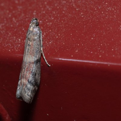 , IT, San Leonardo, Jižní Tyrolsko